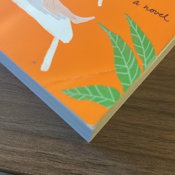 People we meet on vacation by Emily Henry - Picture 3 of 4